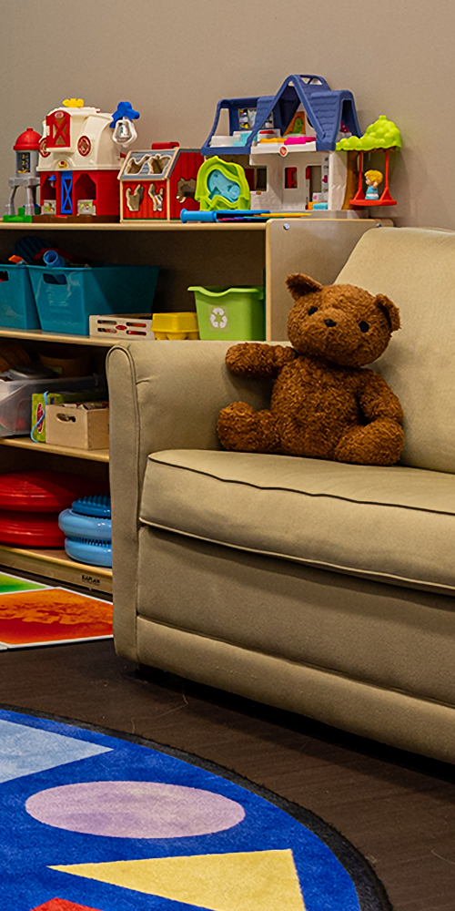 bookcase and seats with pillows